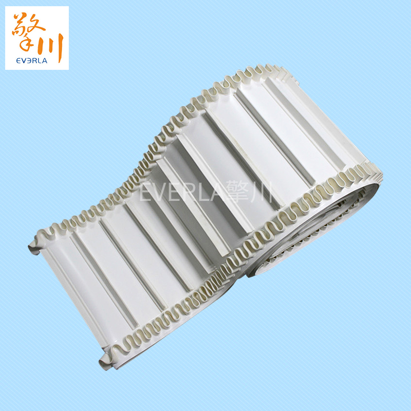 裙邊加擋板PU<a href='http://www.dsjvvrk.cn/shusongdai/' target='_blank'><u>輸送帶</u></a>主圖