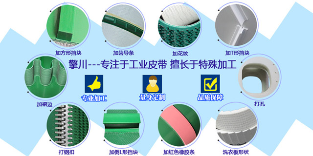 <a href='http://www.dsjvvrk.cn/shusongdai/' target='_blank'><u>輸送帶</u></a>定制加工種類