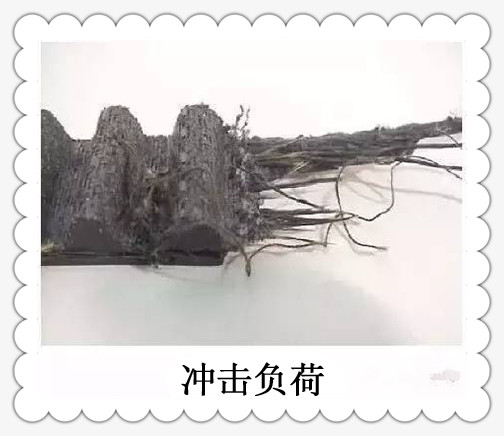 <a href='http://www.dsjvvrk.cn/' target='_blank'><u>工業(yè)皮帶</u></a>