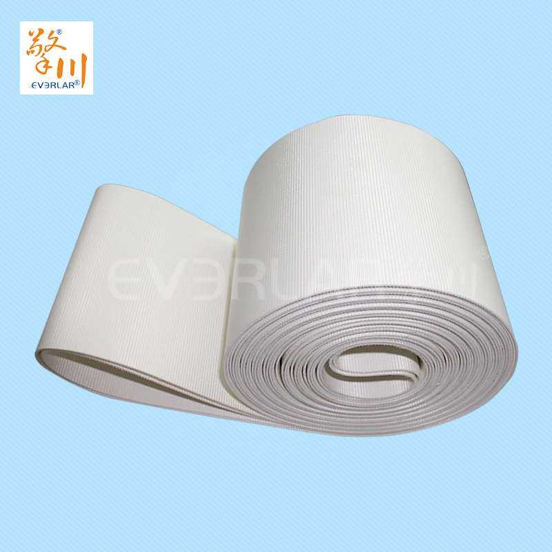 食品皮帶<a href='http://www.dsjvvrk.cn/shusongdai/' target='_blank'><u>輸送帶</u></a>