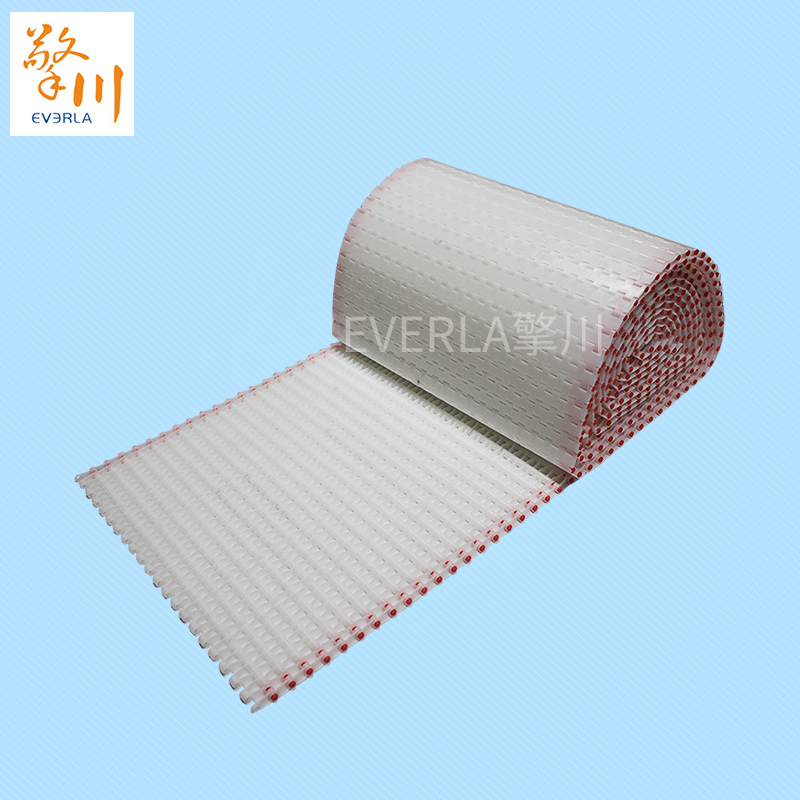 鏈板<a href='http://www.dsjvvrk.cn/shusongdai/' target='_blank'><u>輸送帶</u></a>