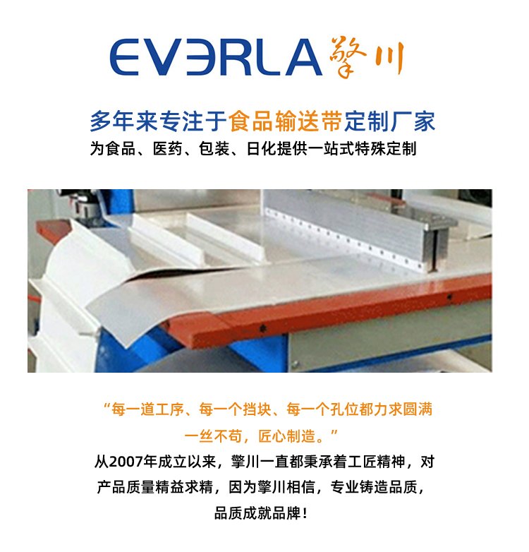 雙面纖維<a href='http://www.dsjvvrk.cn/shusongdai/' target='_blank'><u>輸送帶</u></a>